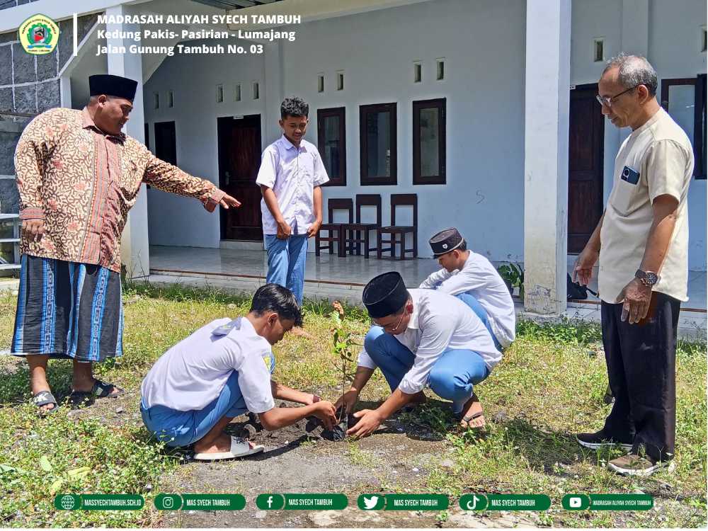 Peringati Hari Bumi Ke-55, Siswa-Siswi MA Syech Tambuh Tanam Pohon Matoa di Halaman Sekolah